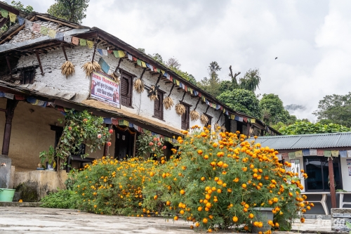 . Трек вокруг Аннапурны, трек на Пунхилл, Покхара и Катманду с Trekki.travel
