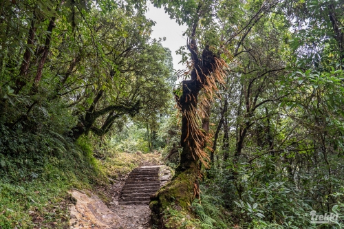. Трек вокруг Аннапурны, трек на Пунхилл, Покхара и Катманду с Trekki.travel