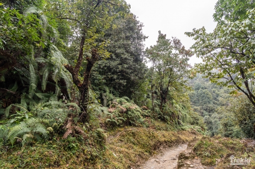 . Трек вокруг Аннапурны, трек на Пунхилл, Покхара и Катманду с Trekki.travel