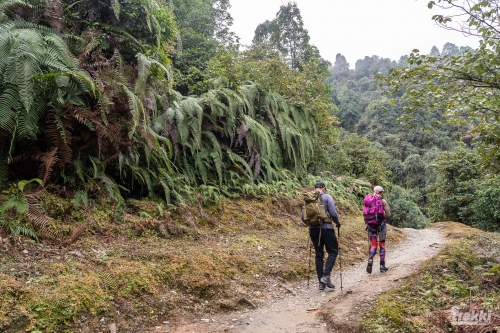 . Трек вокруг Аннапурны, трек на Пунхилл, Покхара и Катманду с Trekki.travel