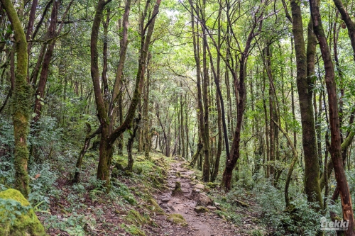 . Трек вокруг Аннапурны, трек на Пунхилл, Покхара и Катманду с Trekki.travel