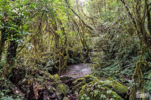. Трек вокруг Аннапурны, трек на Пунхилл, Покхара и Катманду с Trekki.travel