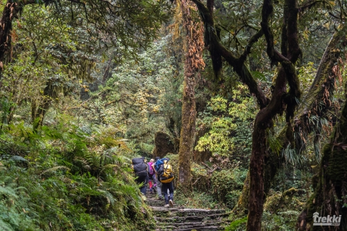 . Трек вокруг Аннапурны, трек на Пунхилл, Покхара и Катманду с Trekki.travel