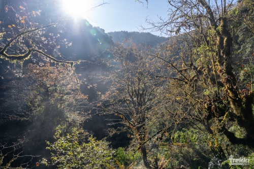 . Трек вокруг Аннапурны, трек на Пунхилл, Покхара и Катманду с Trekki.travel