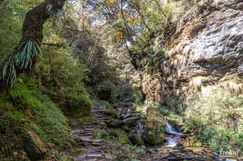 . Трек вокруг Аннапурны, трек на Пунхилл, Покхара и Катманду с Trekki.travel