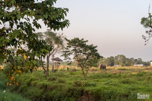 . Сафари в парк Читван с Trekki.travel