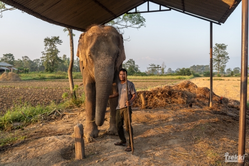 . Сафари в парк Читван с Trekki.travel