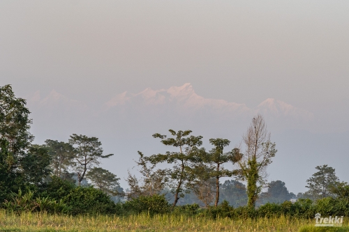 . Сафари в парк Читван с Trekki.travel