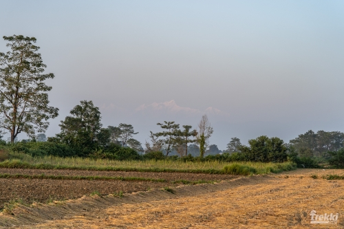 . Сафари в парк Читван с Trekki.travel