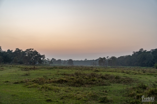 . Сафари в парк Читван с Trekki.travel