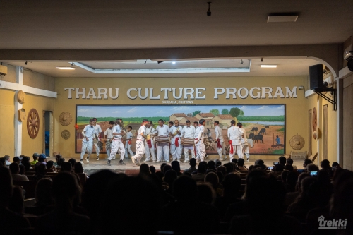 . Сафари в парк Читван с Trekki.travel