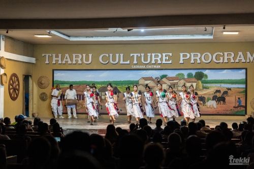 . Сафари в парк Читван с Trekki.travel