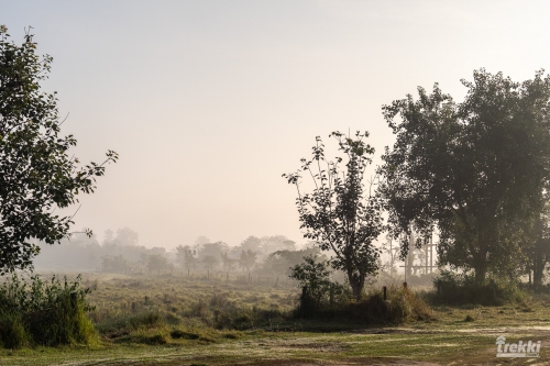 . Сафари в парк Читван с Trekki.travel