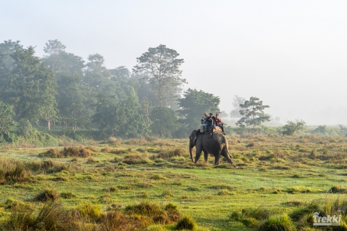 . Сафари в парк Читван с Trekki.travel