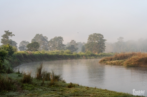 . Сафари в парк Читван с Trekki.travel