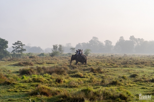 . Сафари в парк Читван с Trekki.travel