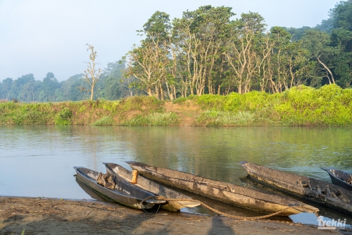 . Сафари в парк Читван с Trekki.travel