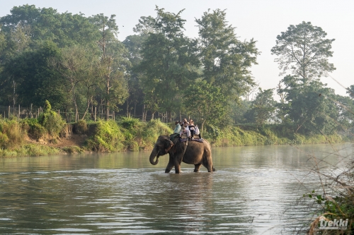 . Сафари в парк Читван с Trekki.travel