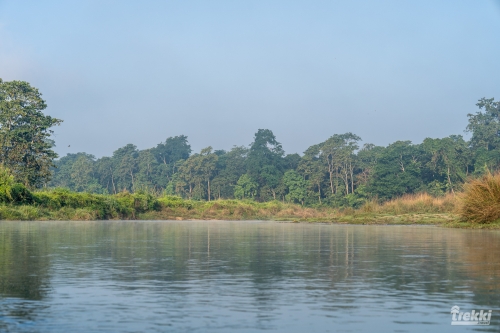 . Сафари в парк Читван с Trekki.travel