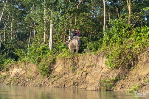 . Сафари в парк Читван с Trekki.travel