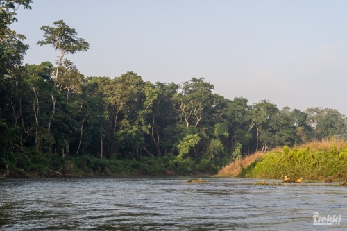 . Сафари в парк Читван с Trekki.travel