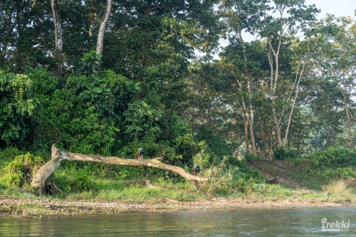 . Сафари в парк Читван с Trekki.travel