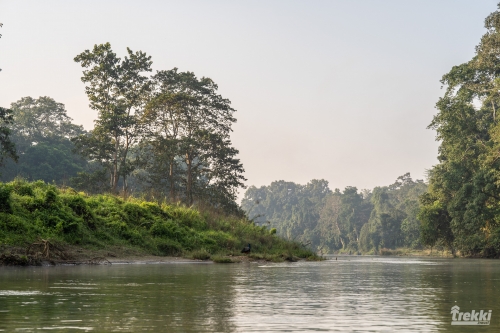 . Сафари в парк Читван с Trekki.travel