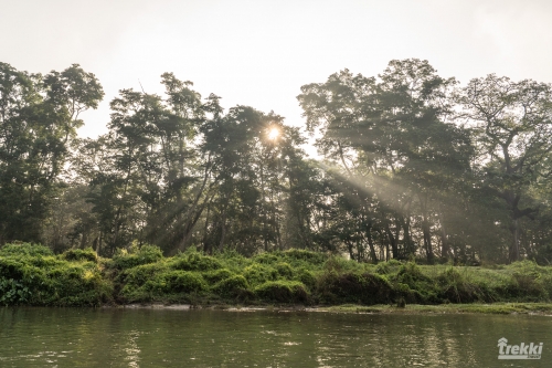 . Сафари в парк Читван с Trekki.travel