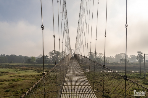 . Сафари в парк Читван с Trekki.travel