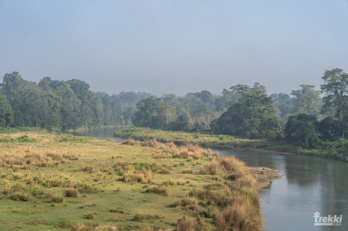 . Сафари в парк Читван с Trekki.travel