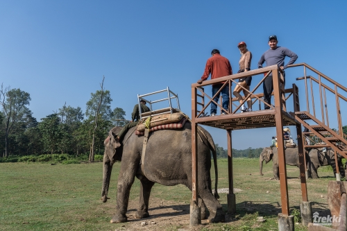 . Сафари в парк Читван с Trekki.travel
