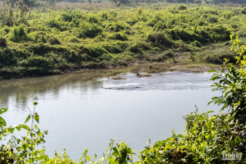 . Сафари в парк Читван с Trekki.travel