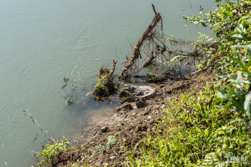 . Сафари в парк Читван с Trekki.travel