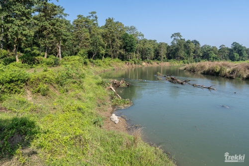 . Сафари в парк Читван с Trekki.travel