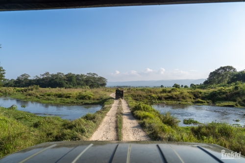. Сафари в парк Читван с Trekki.travel