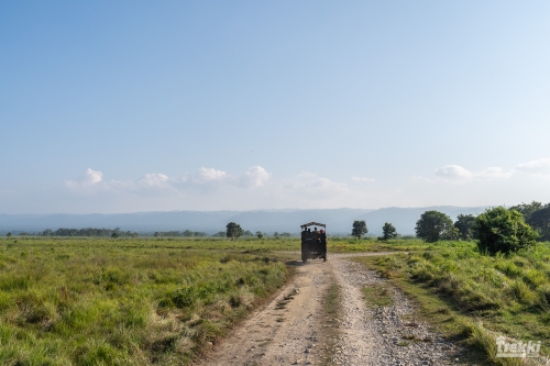 . Сафари в парк Читван с Trekki.travel