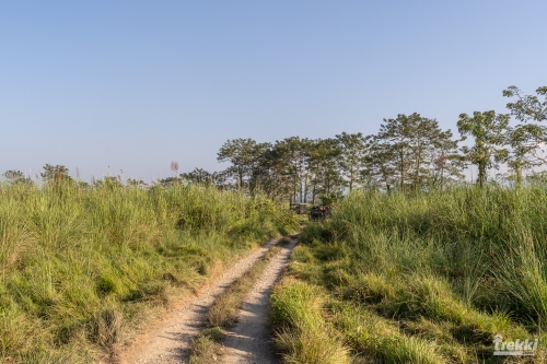 . Сафари в парк Читван с Trekki.travel