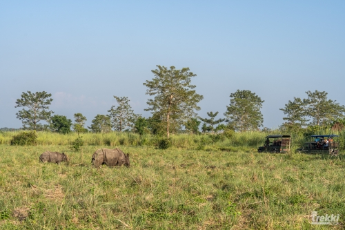 . Сафари в парк Читван с Trekki.travel