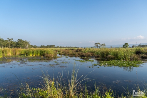 . Сафари в парк Читван с Trekki.travel