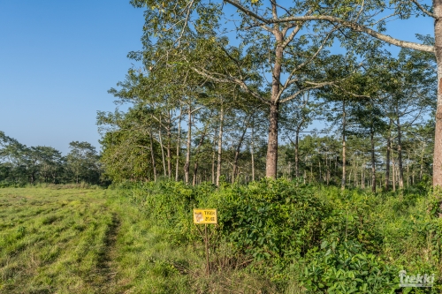 . Сафари в парк Читван с Trekki.travel