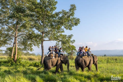 . Сафари в парк Читван с Trekki.travel