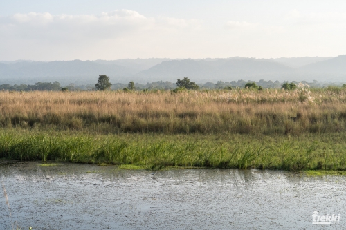 . Сафари в парк Читван с Trekki.travel