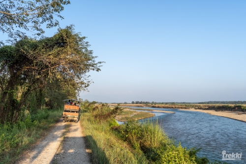 . Сафари в парк Читван с Trekki.travel