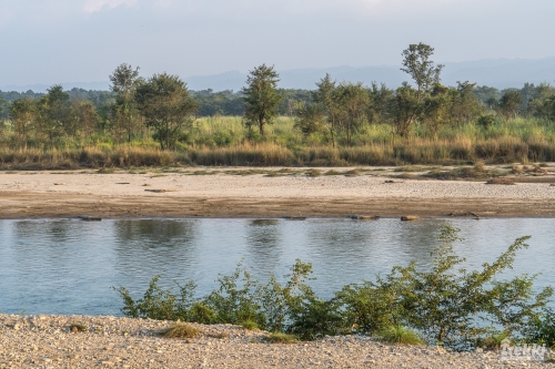 . Сафари в парк Читван с Trekki.travel