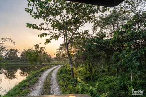 . Сафари в парк Читван с Trekki.travel