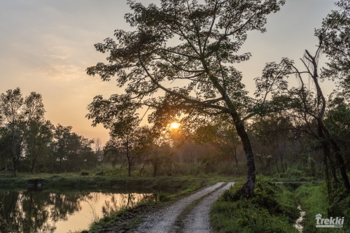 . Сафари в парк Читван с Trekki.travel
