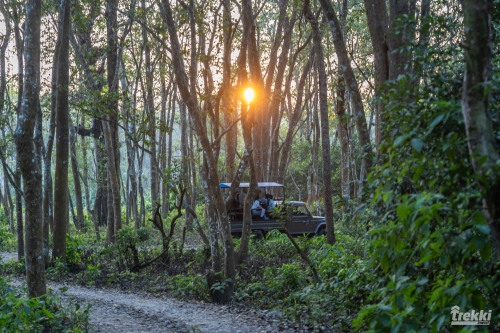 . Сафари в парк Читван с Trekki.travel