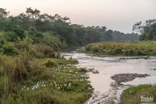 . Сафари в парк Читван с Trekki.travel