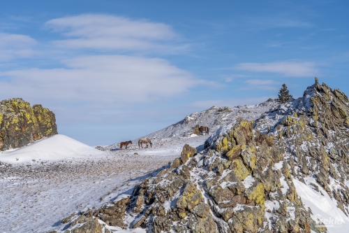 . Зимний Байкал. Бурятия, Ольхон, шаман, Иволгиский Дацан с Trekki.travel