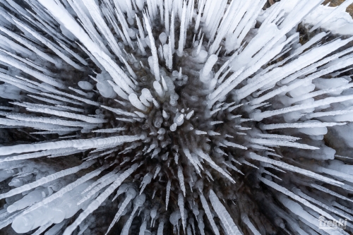 . Зимний Байкал. Бурятия, Ольхон, шаман, Иволгиский Дацан с Trekki.travel